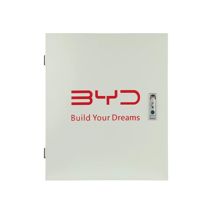 صندوق شاحن السيارة الكهربائية مع حامل التثبيت